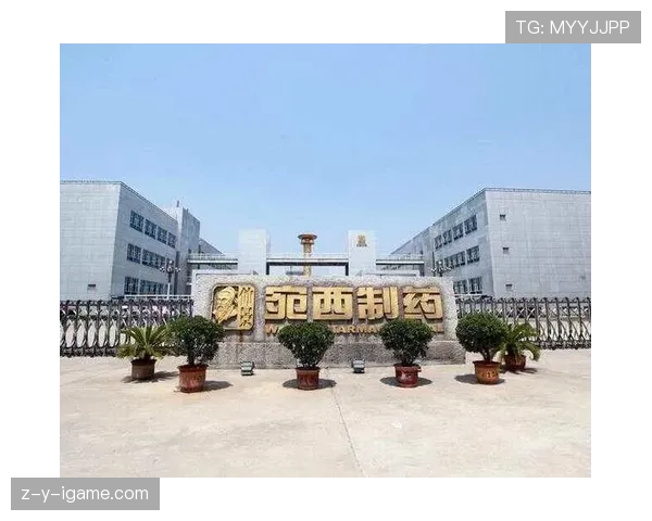 新赞助协议签署，球队发展迎新机遇 市场竞争力稳步提升