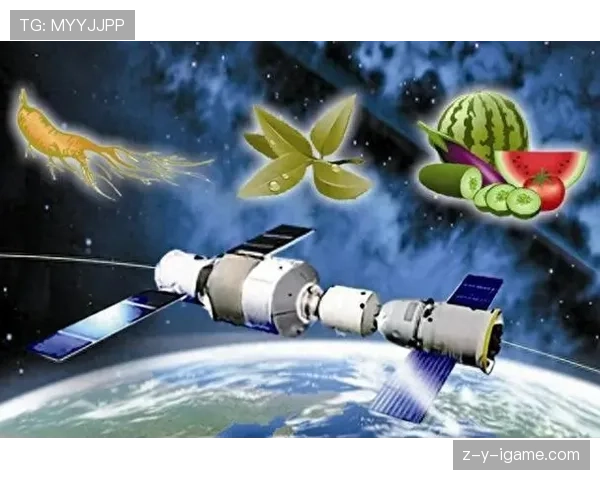 南美足球强国强势复苏，重塑辉煌之路引全球瞩目